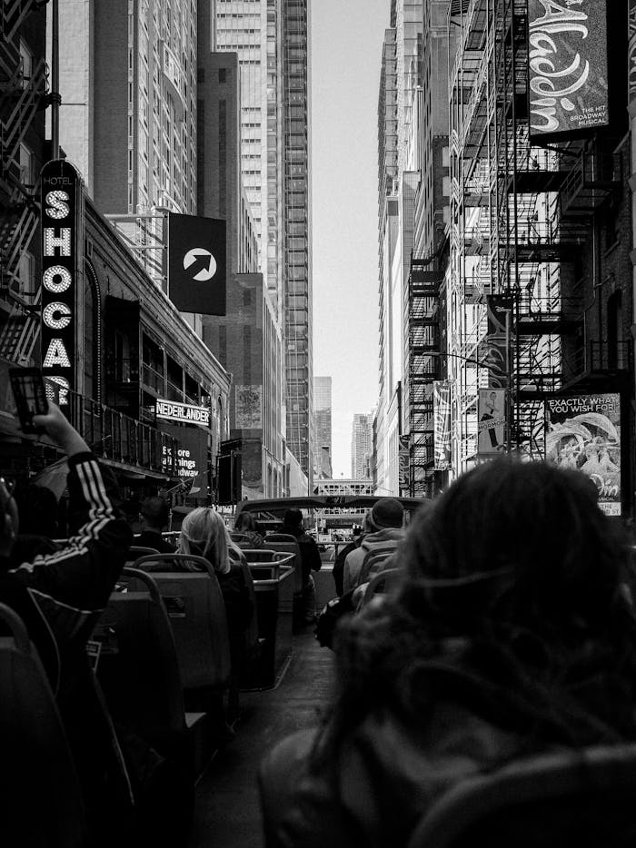 Tourists on an Open-Top Bus