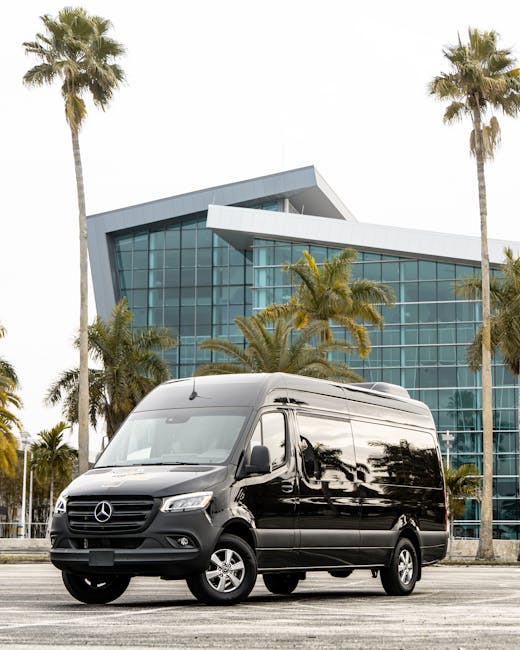 A 2023 Black Mercedes-Benz Sprinter Parked among Palm Tree