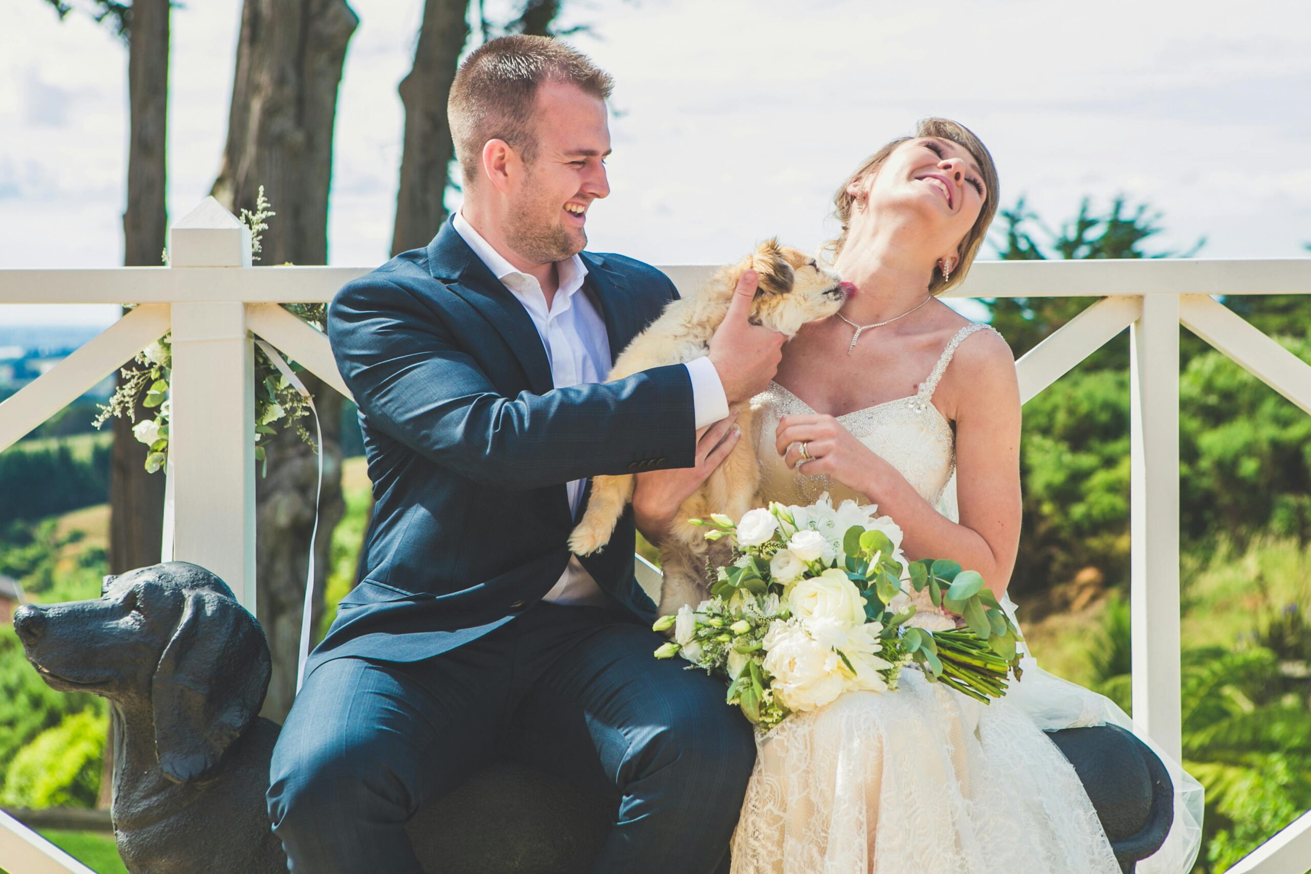 pet friendly wedding shuttles NYC