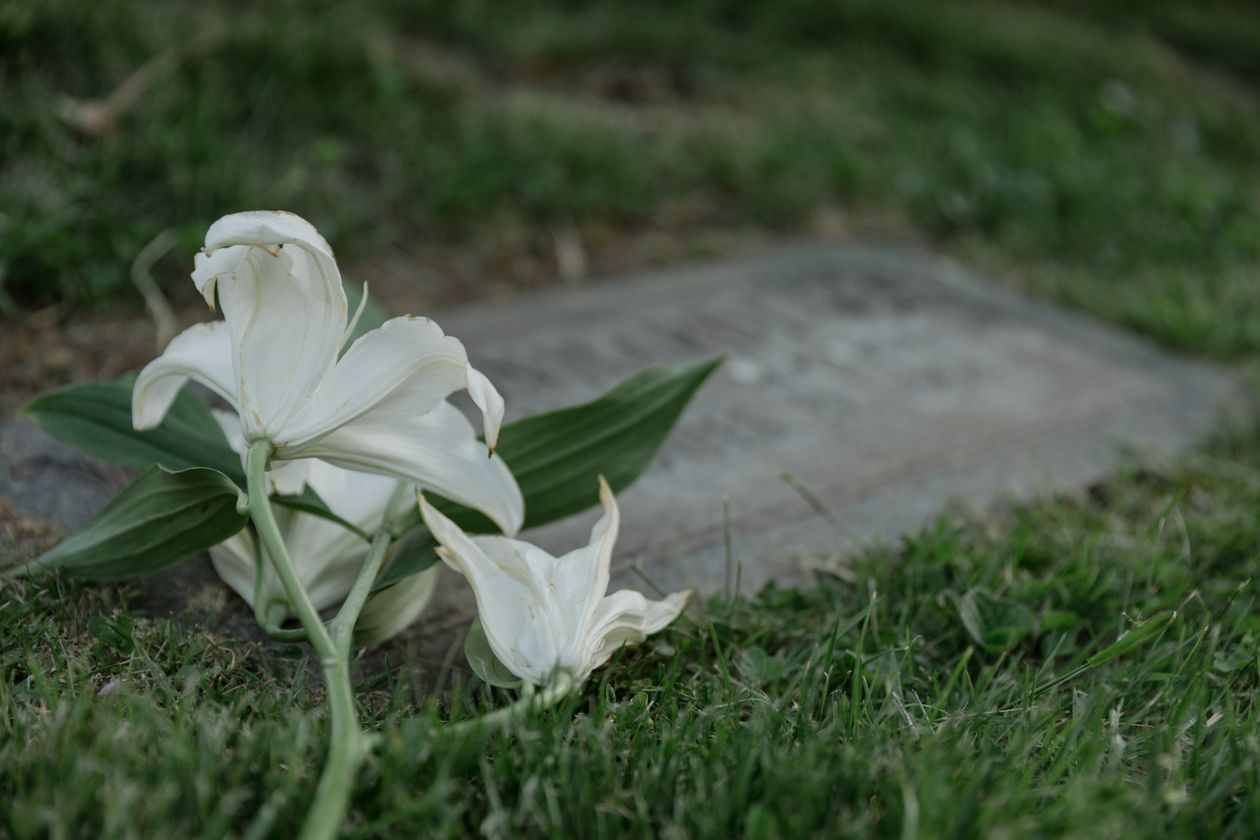 Funeral transportation Cumberland County NJ - white lilies in remembrance